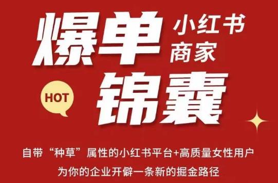 无畏·小红书商家爆单锦囊，掌握小红书各大规则，快速精准抢占行业和市场-学习资源库