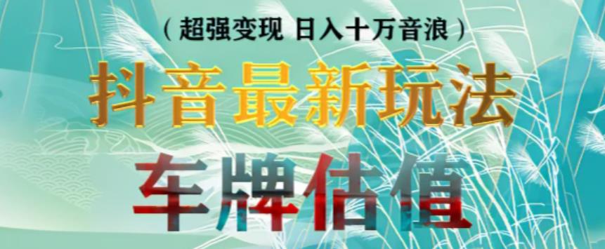 抖音最新无人直播变现直播车牌估值玩法项目，轻松日赚几百+【详细玩法教程】-学习资源库