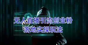 外面收费3980的无人直播引流创业粉落地实操玩法,单日引100+精准创业粉-学习资源库