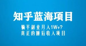 知乎蓝海玩法,躺平副业月入1W+,真正的睡后收入项目(6节视频课)-学习资源库