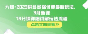 大炮·2023拼多多强付费最新玩法，3月新课​78分钟详细讲解玩法流程-学习资源库