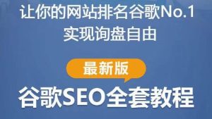 谷歌SEO实战教程:如何让你的网站在谷歌排名第一,内容从入门到高阶,适合个人及团队-学习资源库