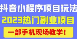 抖音小程序9.0新技巧，2023热门副业项目，动动手指轻松变现-学习资源库