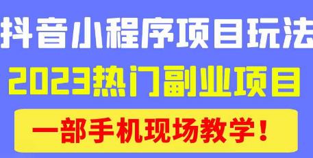 抖音小程序9.0新技巧，2023热门副业项目，动动手指轻松变现-学习资源库