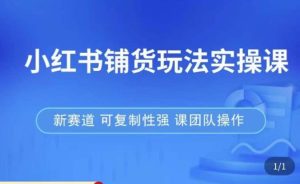 小红书铺货玩法实操课,流量大,竞争小,非常好做,新赛道,可复制性强,可团队操作-学习资源库