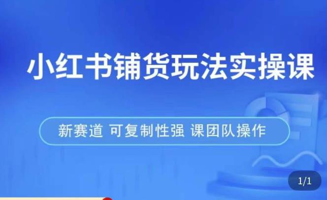 小红书铺货玩法实操课，流量大，竞争小，非常好做，新赛道，可复制性强，可团队操作-学习资源库