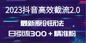 日引300+创业粉,独家抖音高效截流2.0玩法(价值1280)-学习资源库
