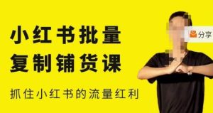 张宾·小红书批量复制铺货课,小红书0-1快速起号变现玩法,抓住小红书的流量红利(更新2023年3月)-学习资源库