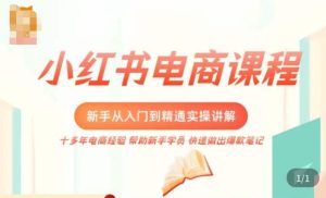 小红书电商新手入门到精通实操课，从入门到精通做爆款笔记，开店运营-学习资源库