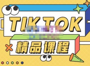 电商孵化中心·TikTok精品课程,教你玩转海外抖音,低成本创业,带您从0开始玩转TikTok-学习资源库