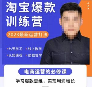 爱上黄昏·淘宝爆款训练营，2023最新运营打法，学习爆款思维，实现利润增长-学习资源库