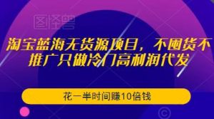 淘宝蓝海无货源项目,不囤货不推广只做冷门高利润代发,花一半时间赚10倍钱-学习资源库