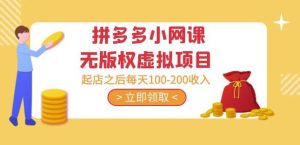 黄岛主·拼多多小网课无版权虚拟项目分享课：起店之后每天100-200收入-学习资源库