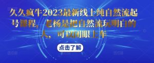 久久疯牛2023最新线上纯自然流起号课程，老杨是把自然流玩明白的人，可以闭眼上车-学习资源库