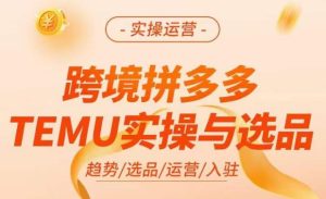 跨境拼多多TEMU实操与选品,掌握平台运营方法技巧,选品避坑12条标准,爆款的底层思路等-学习资源库