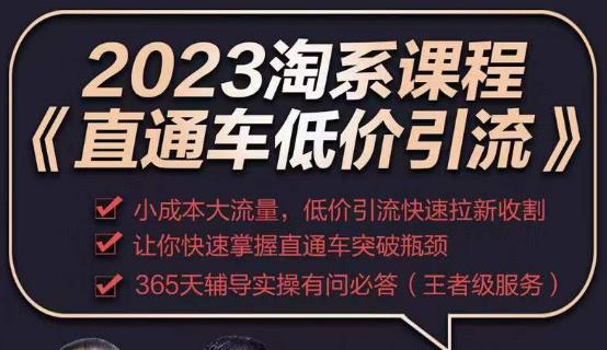 2023直通车低价引流玩法课程，小成本大流量，低价引流快速拉新收割，让你快速掌握直通车突破瓶颈-学习资源库