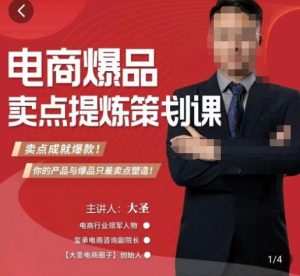大圣·电商标品爆款卖点策划课,标品卖点成就爆款,可落地卖点提炼课-学习资源库
