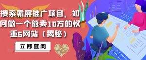 搜索霸屏推广项目，如何做一个能卖10万的权重6网站（揭秘）-学习资源库