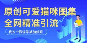 黑科技纯原创可爱猫咪图片，全网精准引流，实操5个VX号被加频繁-学习资源库