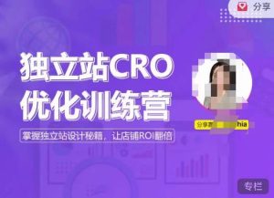 独立站CRO优化训练营，掌握独立站设计秘籍，打造高转化的独立站，让店铺ROI翻倍-学习资源库