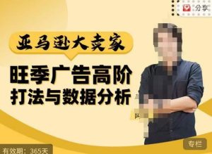 阿甘·亚马逊大卖家广告高阶打法与数据分析,走出传统广告误区;揭秘大卖惯用打法;数据驱动广告决策-学习资源库