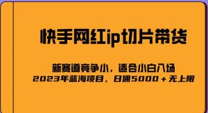 2023爆火的快手网红IP切片，号称日佣5000＋的蓝海项目，二驴的独家授权-学习资源库