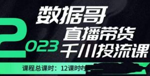 数据哥2023直播电商巨量千川付费投流实操课,快速掌握直播带货运营投放策略-学习资源库