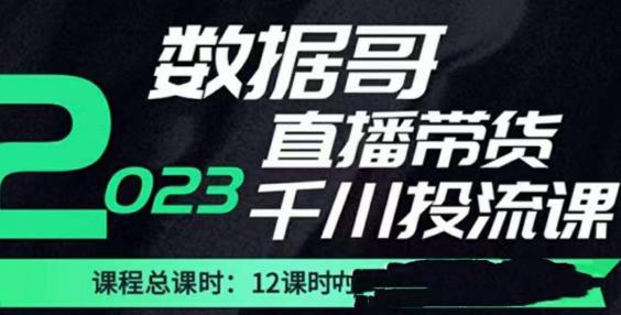 数据哥2023直播电商巨量千川付费投流实操课，快速掌握直播带货运营投放策略-学习资源库