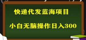 2023最新蓝海快递代发项目，小白零成本照抄也能日入300+-学习资源库