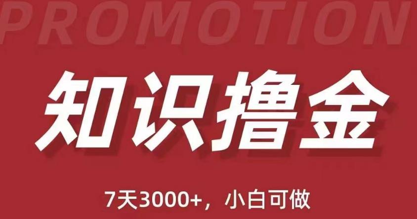 抖音知识撸金项目：简单粗暴日入1000+执行力强当天见收益(教程+资料)-学习资源库