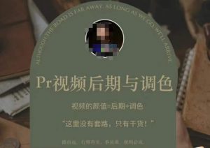 Pr视频后期与调色,视频颜值=后期+调色,这里没有套路,只有干货!-学习资源库