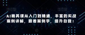 AI精英课从入门到精通,丰富的实战案例讲解,跟着案例学,提升自我!-学习资源库