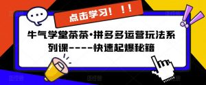 牛气学堂茶茶•拼多多运营玩法系列课—-快速起爆秘籍【更新】-学习资源库