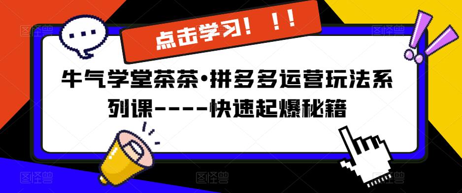 牛气学堂茶茶•拼多多运营玩法系列课—-快速起爆秘籍【更新】-学习资源库