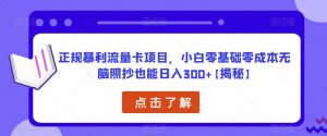 正规暴利流量卡项目,小白零基础零成本无脑照抄也能日入300+【揭秘】-学习资源库