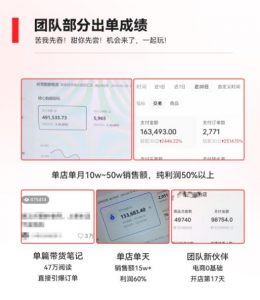 2023小红书电商火爆全网，新晋红利，风口项目，单店收益在3000-30000！-学习资源库
