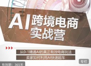 白龙老师·AI跨境电商实战营:从0-1精通Al的真正有效电商玩法,卖家如何利用Al快速超车-学习资源库