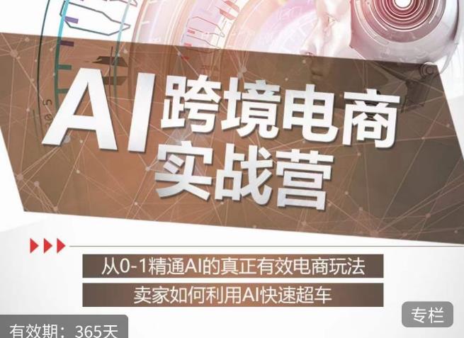 白龙老师·AI跨境电商实战营：从0-1精通Al的真正有效电商玩法，卖家如何利用Al快速超车-学习资源库