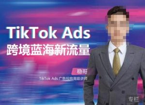 稳哥·如何投出高ROI的TikTok广告，开拓独立站卖家流量新蓝海-学习资源库