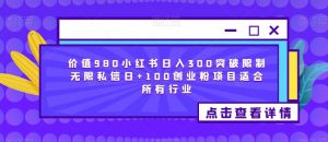 价值980小红书日入300突破限制无限私信日+100创业粉项目适合所有行业-学习资源库