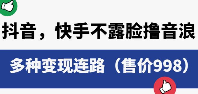 抖音快手不露脸撸音浪项目，多种变现连路（售价998）-学习资源库