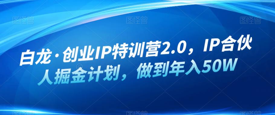 白龙·创业IP特训营2.0，IP合伙人掘金计划，做到年入50W-学习资源库