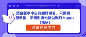 适合新手小白的搬砖项目,只需要一部手机、不用引流也能做到日入300+【揭秘】-学习资源库