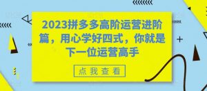 2023拼多多高阶运营进阶篇,用心学好四式,你就是下一位运营高手-学习资源库