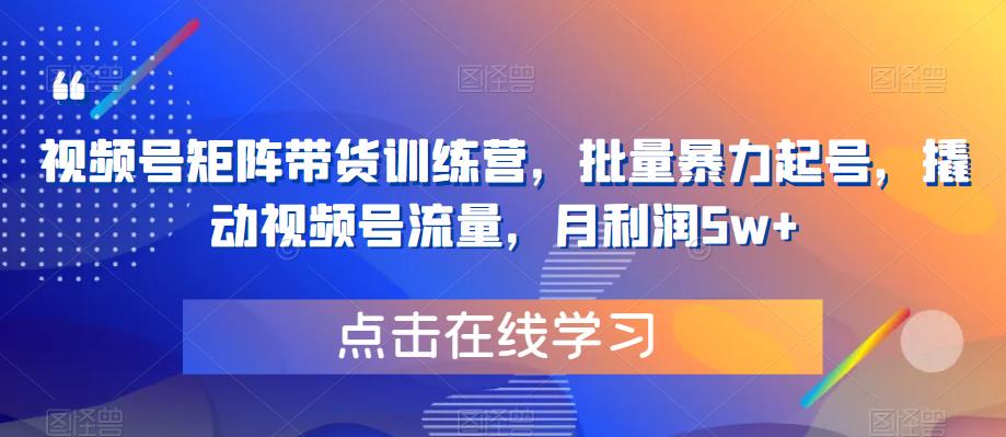 视频号矩阵带货训练营，批量暴力起号，撬动视频号流量，月利润5w+-学习资源库