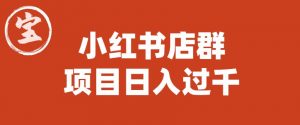 宝哥小红书店群项目,日入过千(图文教程)【揭秘】-学习资源库