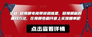 文林·短频视电商带训货练营,短视频的新赚钱方法,在视号频和抖音实上现爆单吧-学习资源库