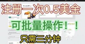 国外项目注册一次0.5美金,只需三分钟无脑操作,可批量同时放大操作,小白工作室福利【揭秘】-学习资源库