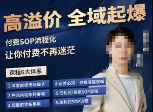 逸风-拼多多高溢价全域起爆，6大课程体系，付费玩法全套实操-学习资源库