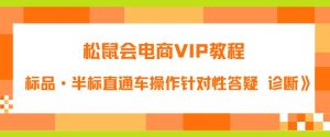 松鼠会电商VIP教程:松鼠《付费推广标品·半标直通车操作针对性答疑&诊断》-学习资源库